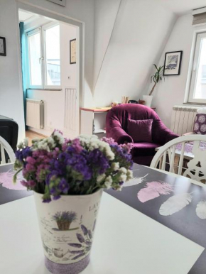 Apartment in the downtown - walking distance all attractions